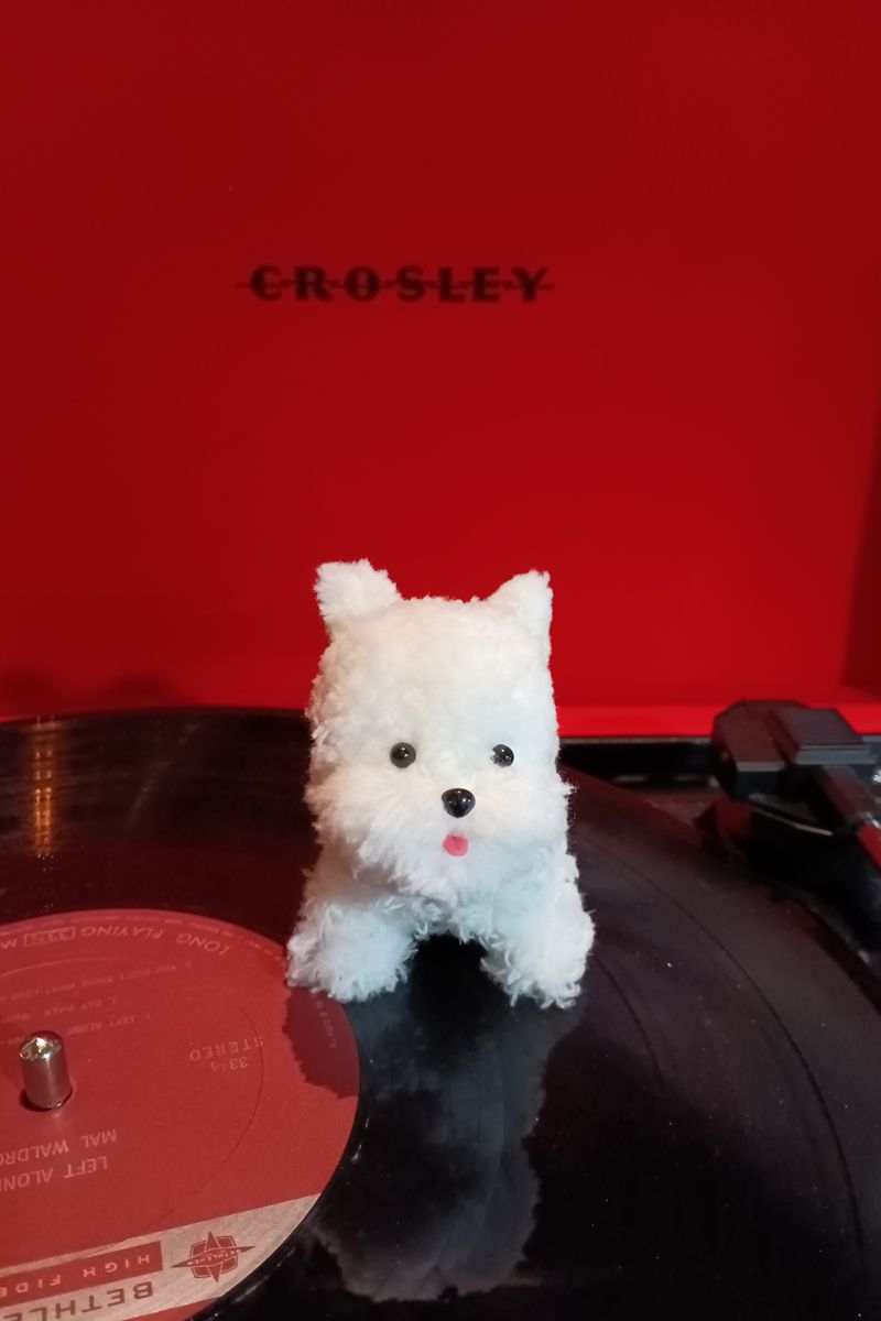 Handmade Large Pipe Cleaner Coral Fleece Dog